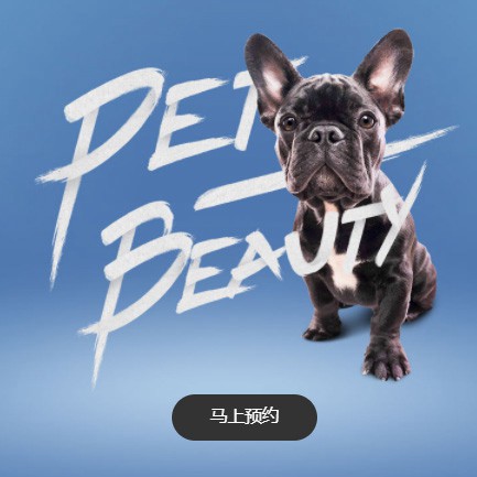 林周宠物中心小程序开发